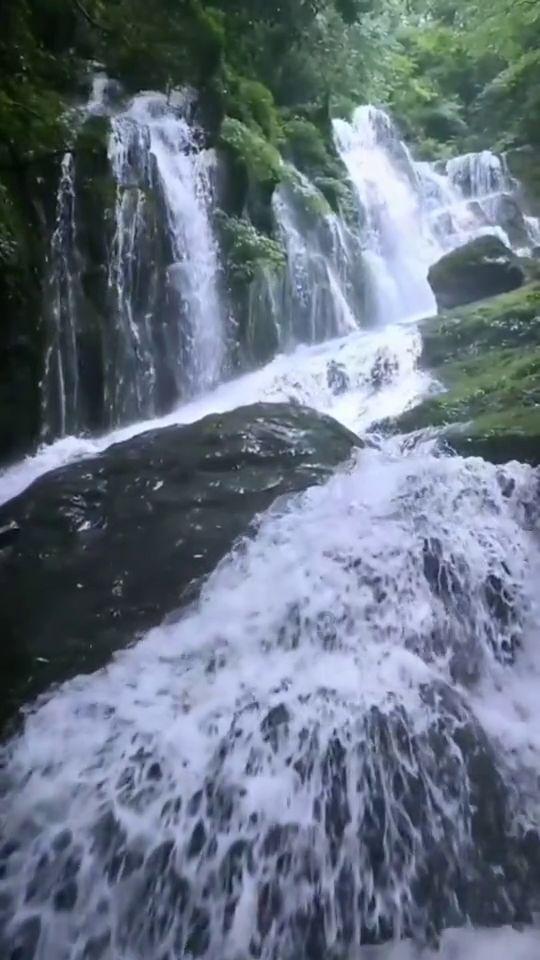 探索天涯,畅谈做一颗种植牙真的要上万吗?